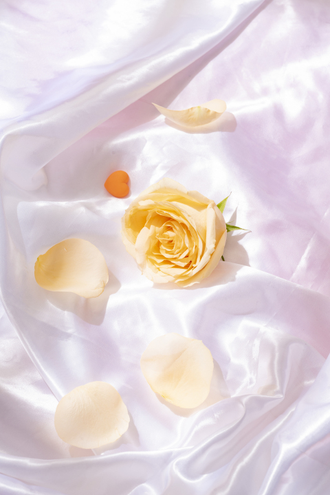 丝绸上的黄色玫瑰花瓣版权图片下载