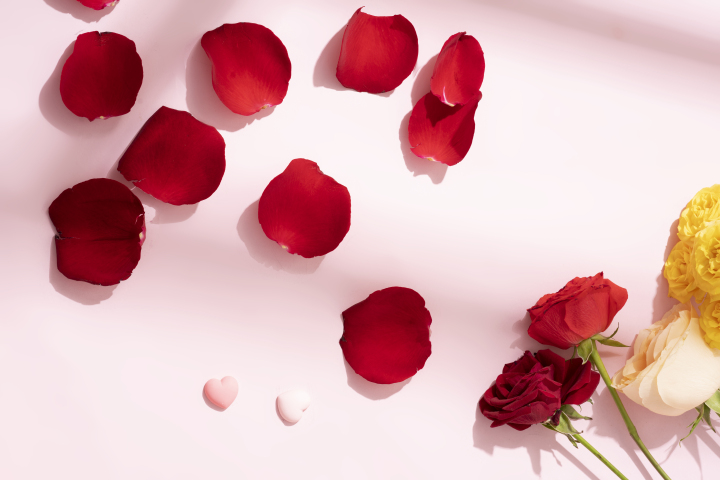 美丽漂亮的玫瑰花瓣实拍图版权图片下载