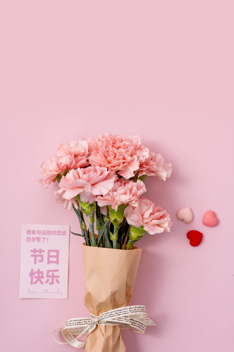 粉色唯美康乃馨鲜花高清图版权图片下载