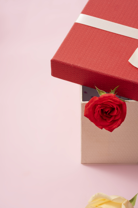 温馨节日玫瑰礼物盒高清图版权图片下载
