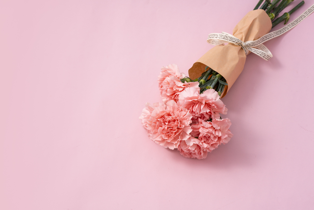 感恩母亲节粉色康乃馨实拍图版权图片下载