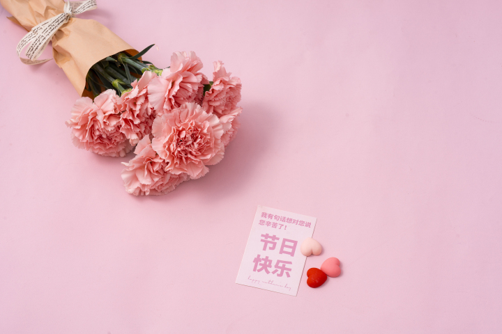 一束粉色康乃馨鲜花实拍图版权图片下载