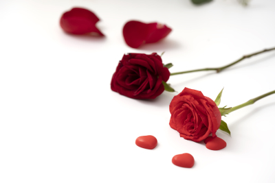 散落一地的红玫瑰花瓣高清图