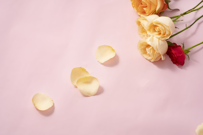 情人节礼物爱情玫瑰高清图