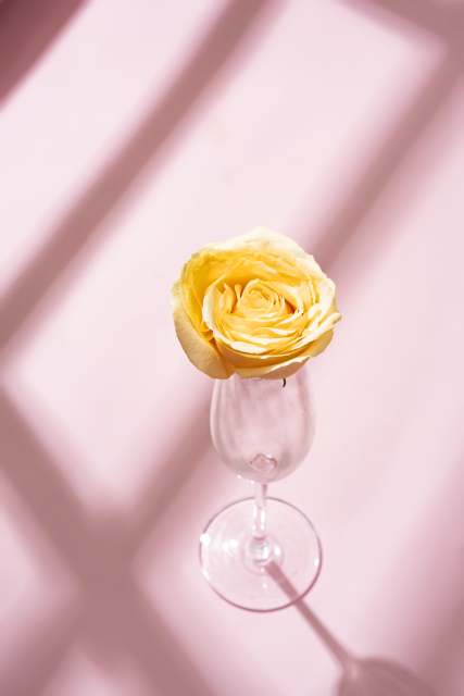 黄玫瑰高脚杯艺术感高清图