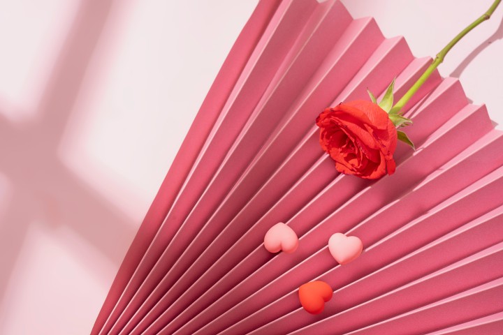 粉色折纸背景红玫瑰实拍图版权图片下载