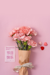 感恩母亲节粉色康乃馨高清图