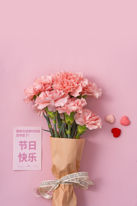 感恩母亲节粉色康乃馨高清图版权图片下载