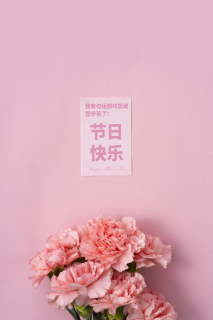 粉色康乃馨唯美鲜花高清图