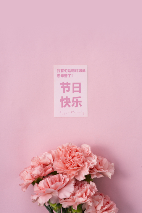 粉色康乃馨唯美鲜花高清图版权图片下载