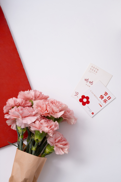 一束粉色康乃馨花束近拍图