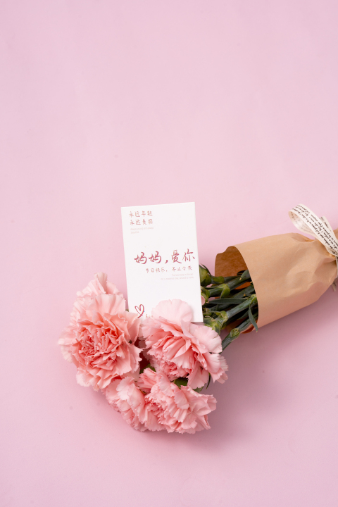 粉色康乃馨母亲节精美鲜花版权图片下载