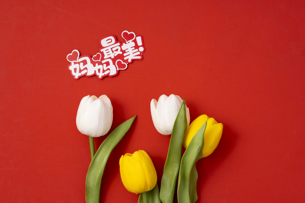 唯美百合红色背景版权图片下载