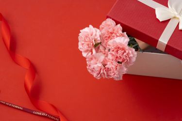 精致礼盒粉色康乃馨花束图片