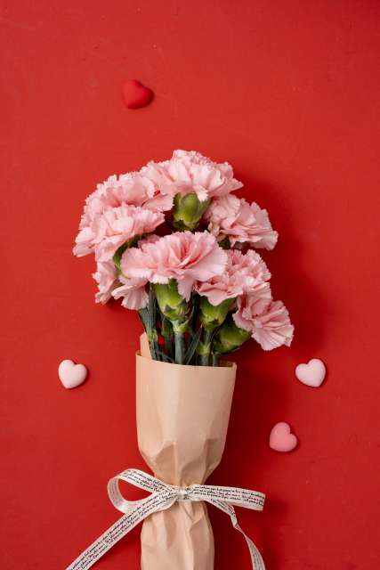 感恩母亲节康乃馨爱心图片