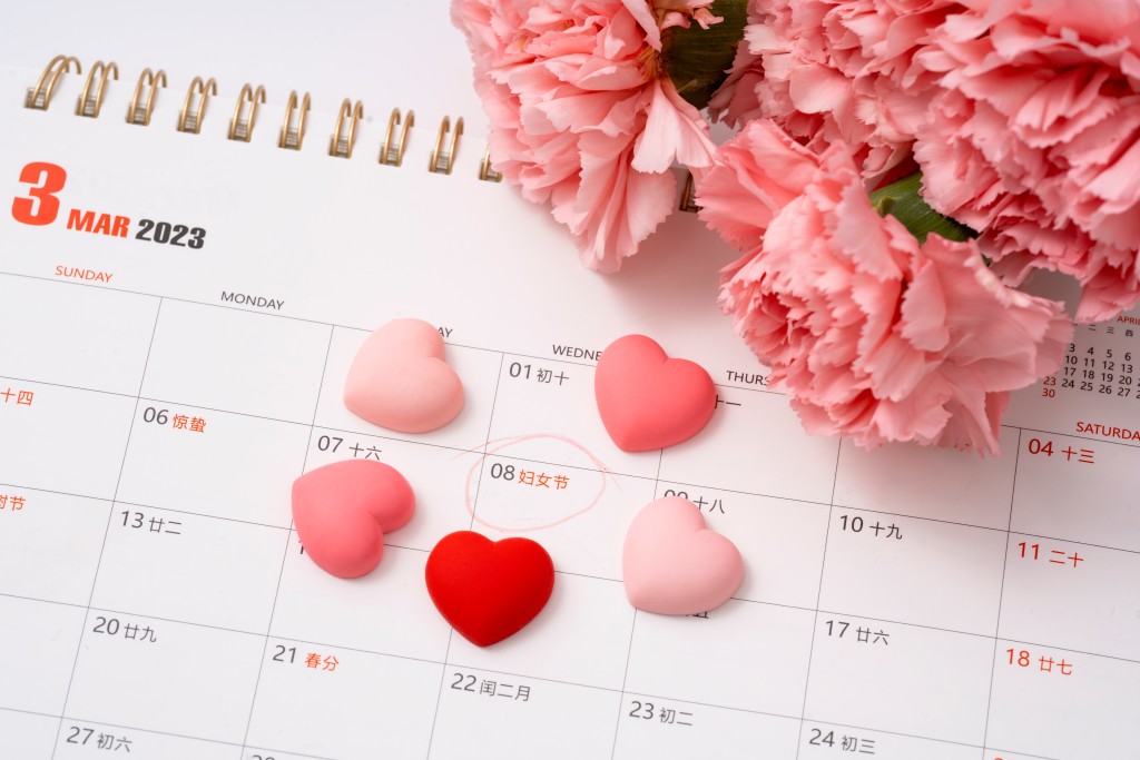 唯美康乃馨妇女节礼物高清图版权图片下载