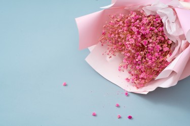 粉色满天星花束妇女节礼物高清图