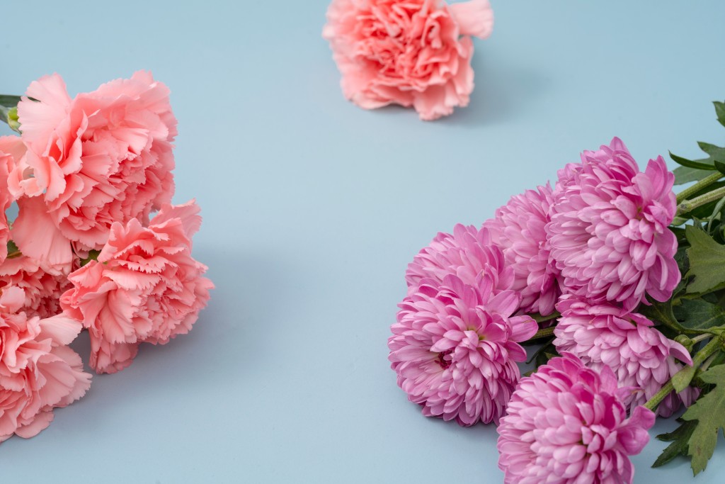 送给妈妈母亲节的一束花高清图版权图片下载