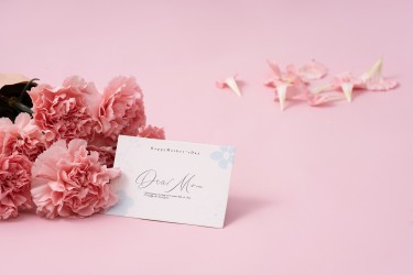 粉色康乃馨温馨母亲节礼物图