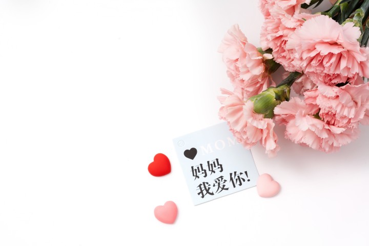 母亲节粉色康乃馨鲜花高清图版权图片下载