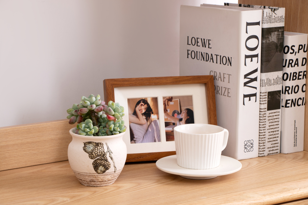 家居绿植摆件多肉盆栽高清图版权图片下载