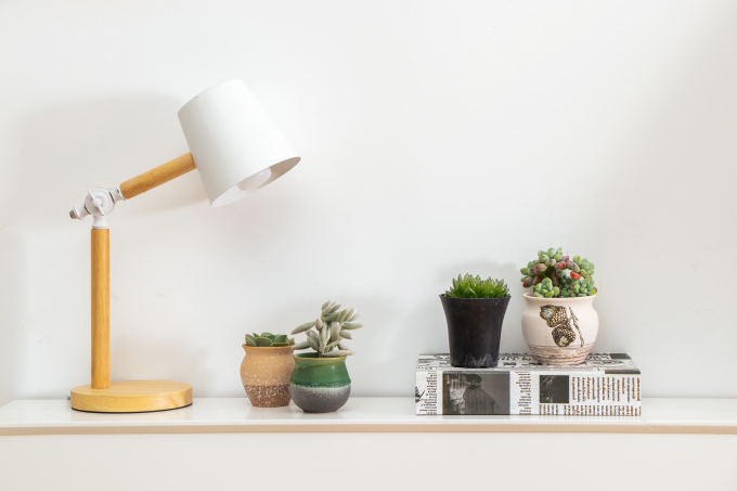 原木是台灯家居绿植盆栽高清图