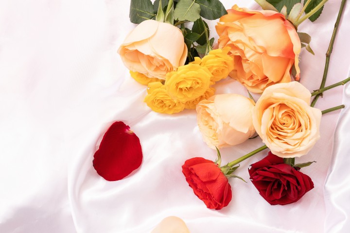 香槟玫瑰花浪漫情人节礼物图版权图片下载