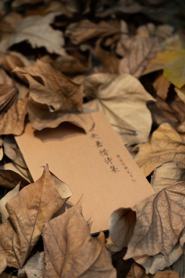 落叶中的书本唯美意境图片