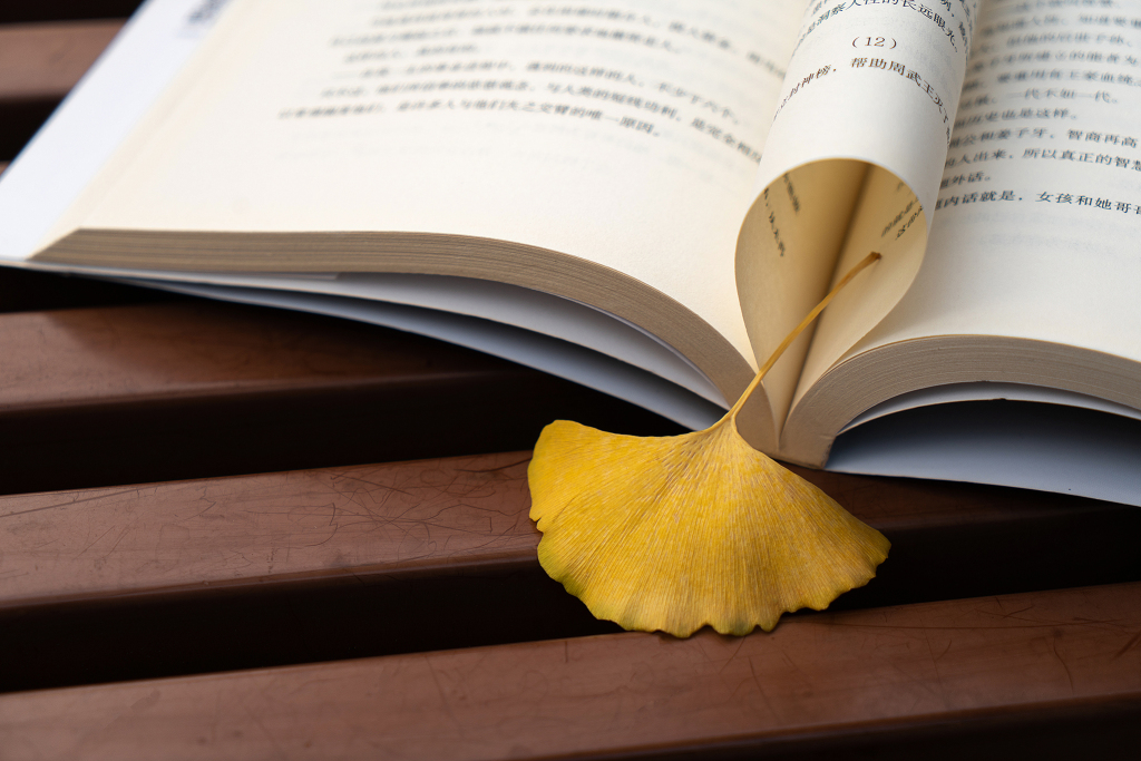 唯美黄色银杏落叶书签版权图片下载