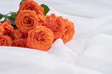 桌面鲜艳橙色芭比玫瑰花束高清图