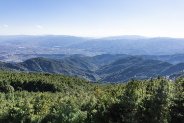 山川树林自然风景俯拍远景图