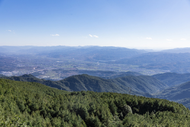 自然美景山川树林实拍图