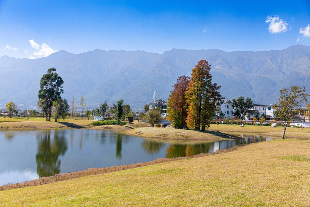 蓝天白云黄色草坪美景高清图版权图片下载