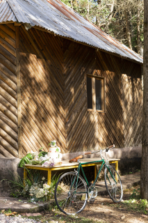 小木屋自行车自然环境实拍图