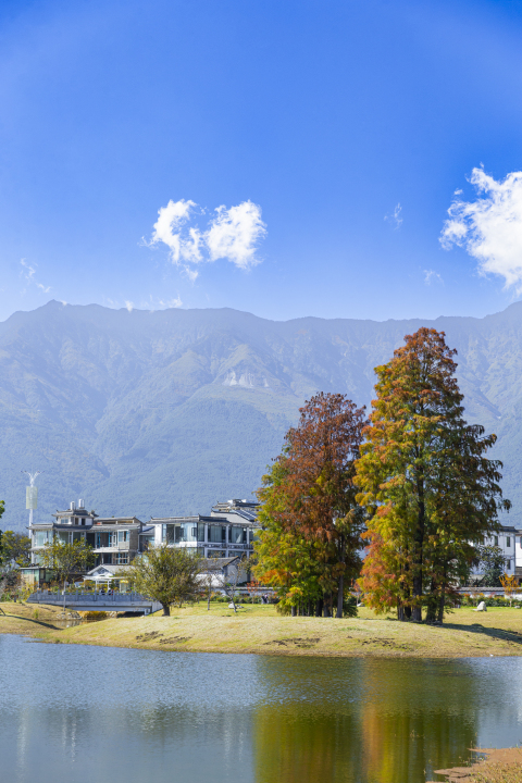 优美风景区湖边风景高清图版权图片下载