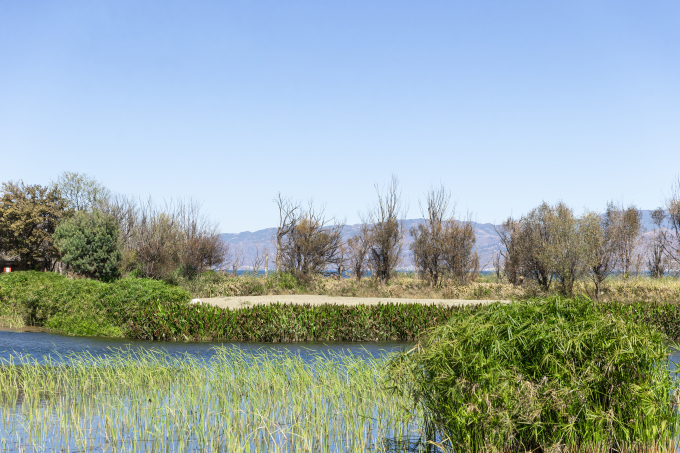 湖面绿植自然风光高清图