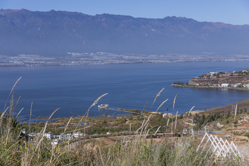 高山流水芦苇湖面风光图版权图片下载