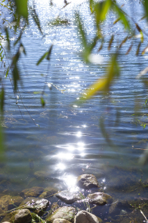 阳光下清澈湖面实拍图