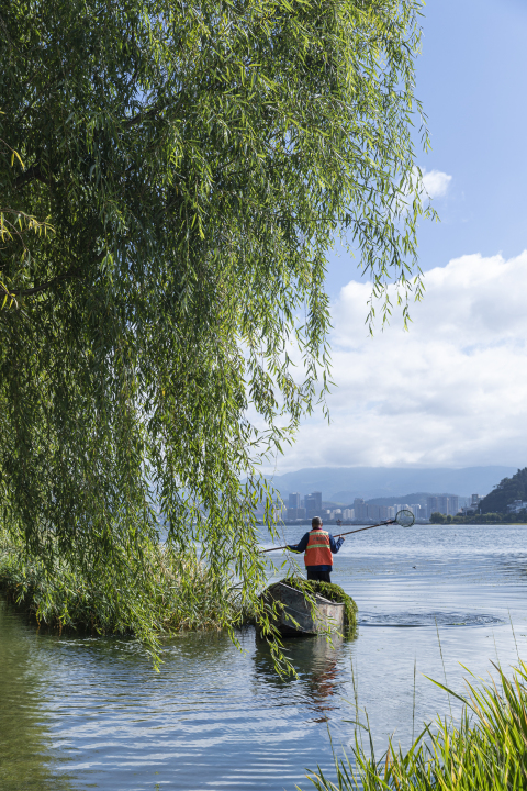 蓝天湖水柳树自然风景高清图版权图片下载