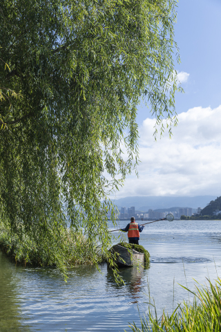 蓝天湖水柳树自然风景高清图