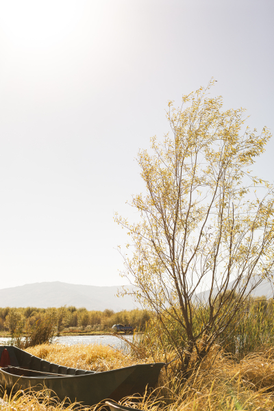 湖边秋季自然风景高清图