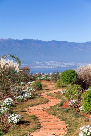 乡间小路野花青草风景图