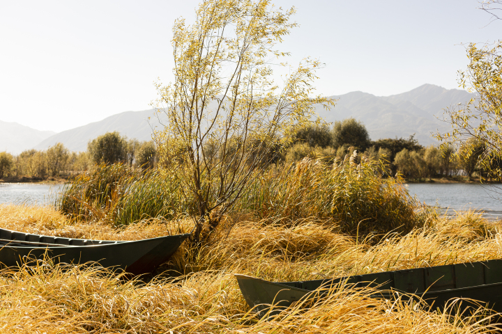 秋冬黄色草地湖边风景实拍图版权图片下载