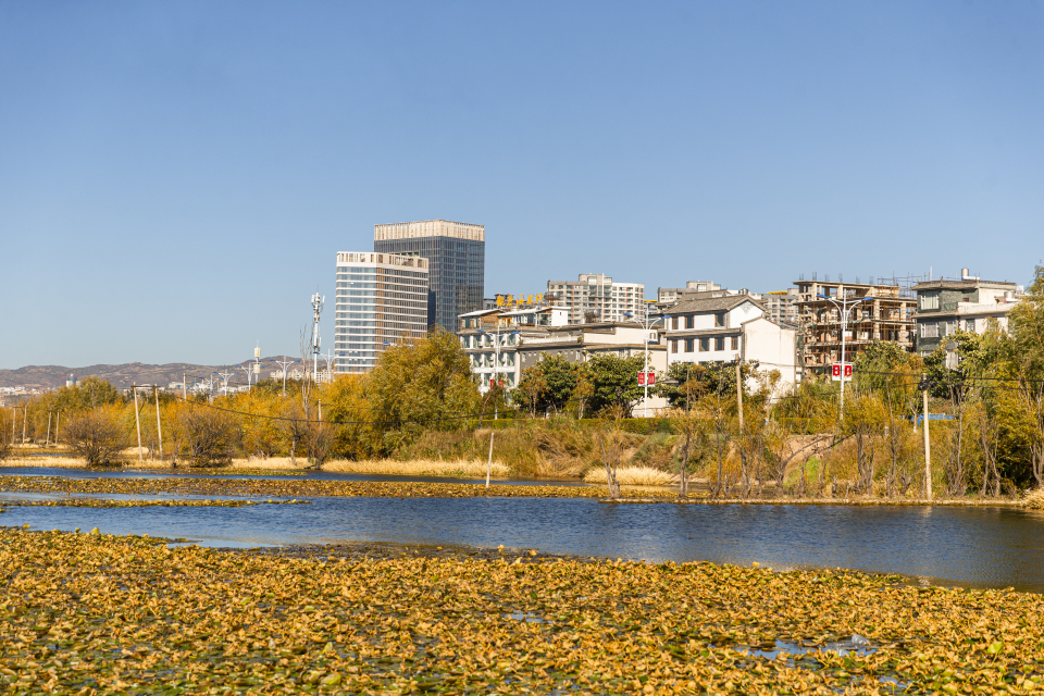 城市别墅区公园景色实拍图