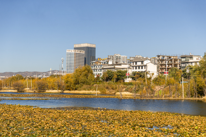 城市别墅区公园景色实拍图