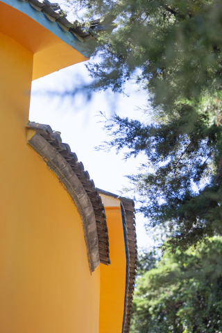 橙色围墙砖瓦庭院风景图