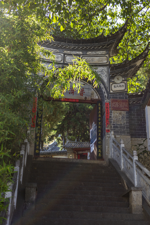 古宅大门茂密树木风景图版权图片下载