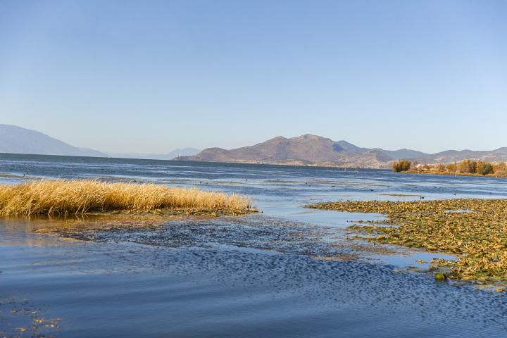 晃荡的湖面波纹秋季风景高清图版权图片下载