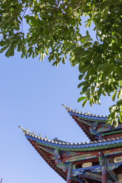 绿树成荫古式中国风建筑图