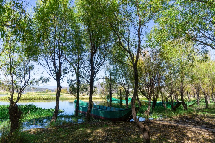 湖边绿色树林实拍风景图版权图片下载